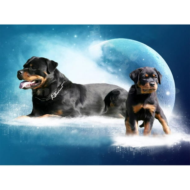 Full Drill DIY 5D Dogs All Diamond Painting Embroidery Cross Stitch Kits Craft 